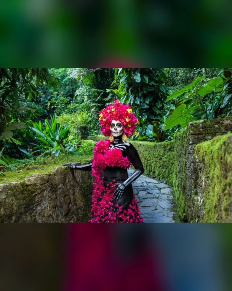 El surrealismo se encuentra con la magia del Xantolo