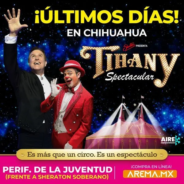 Tihany Spectacular Chihuahua