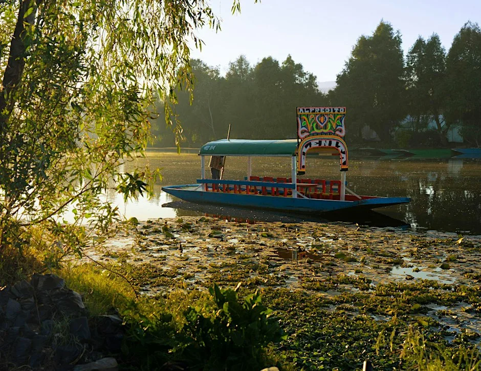 Free Walk&Talk - Xochimilco