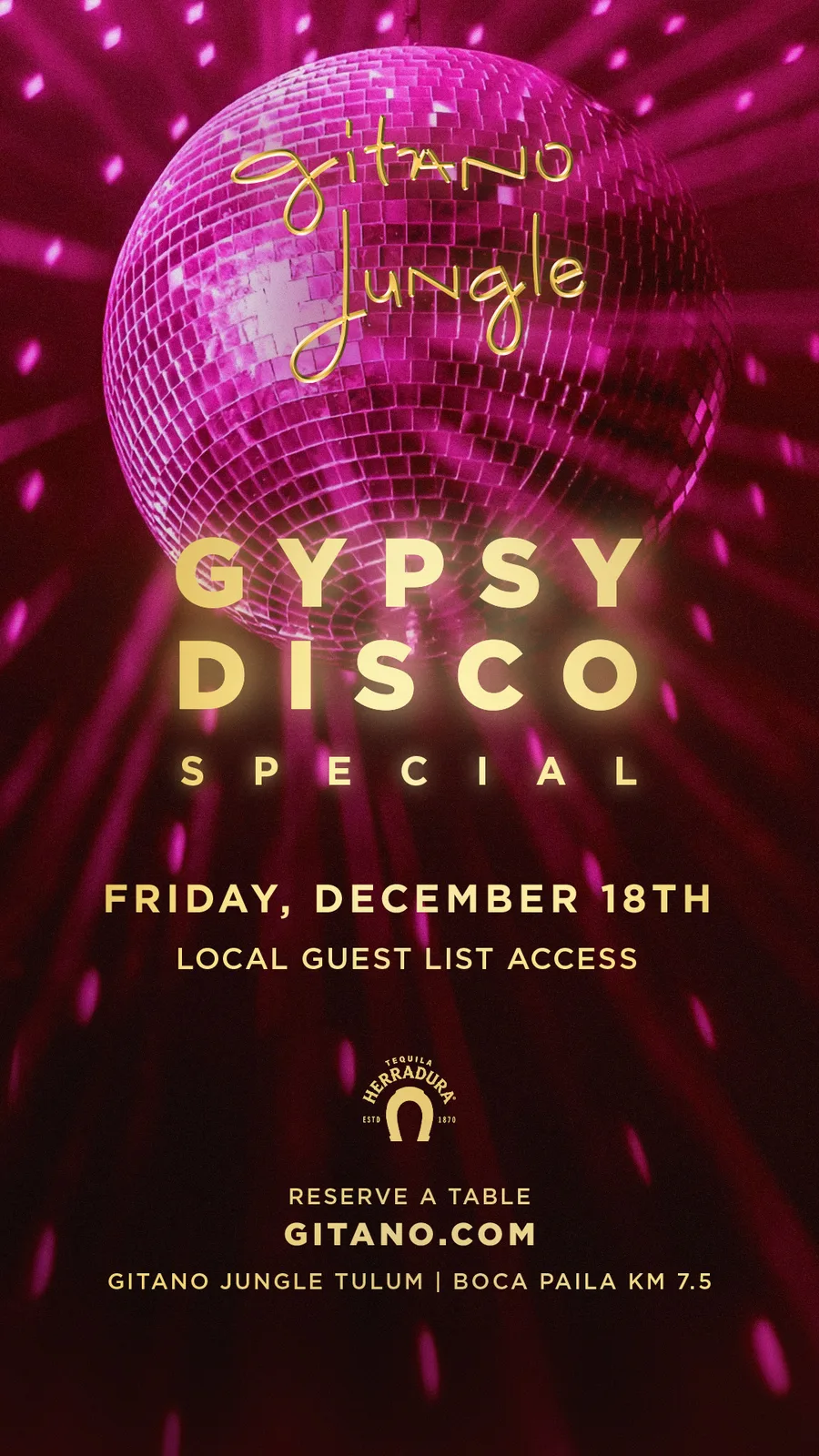 GYPSY DISCO SPECIAL EDITION