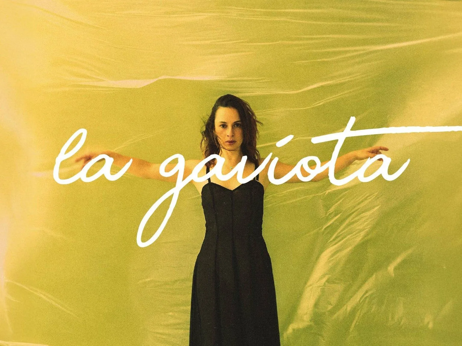 La Gaviota