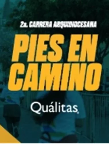 Carrera Pies en Camino