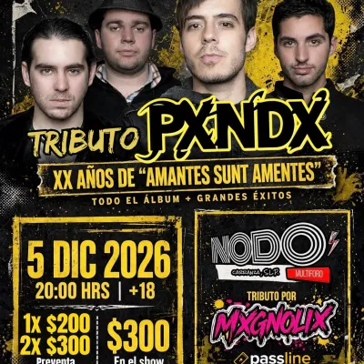 Mxgnolix en San Luis Potosí
