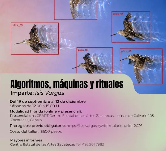 Algoritmos y rituales