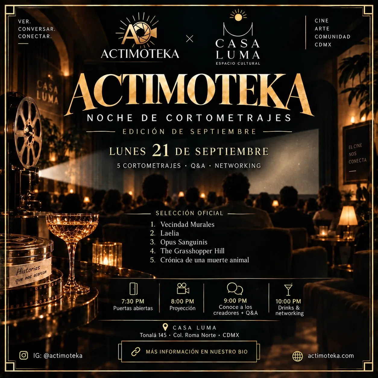 Actimoteka en Casa Luma