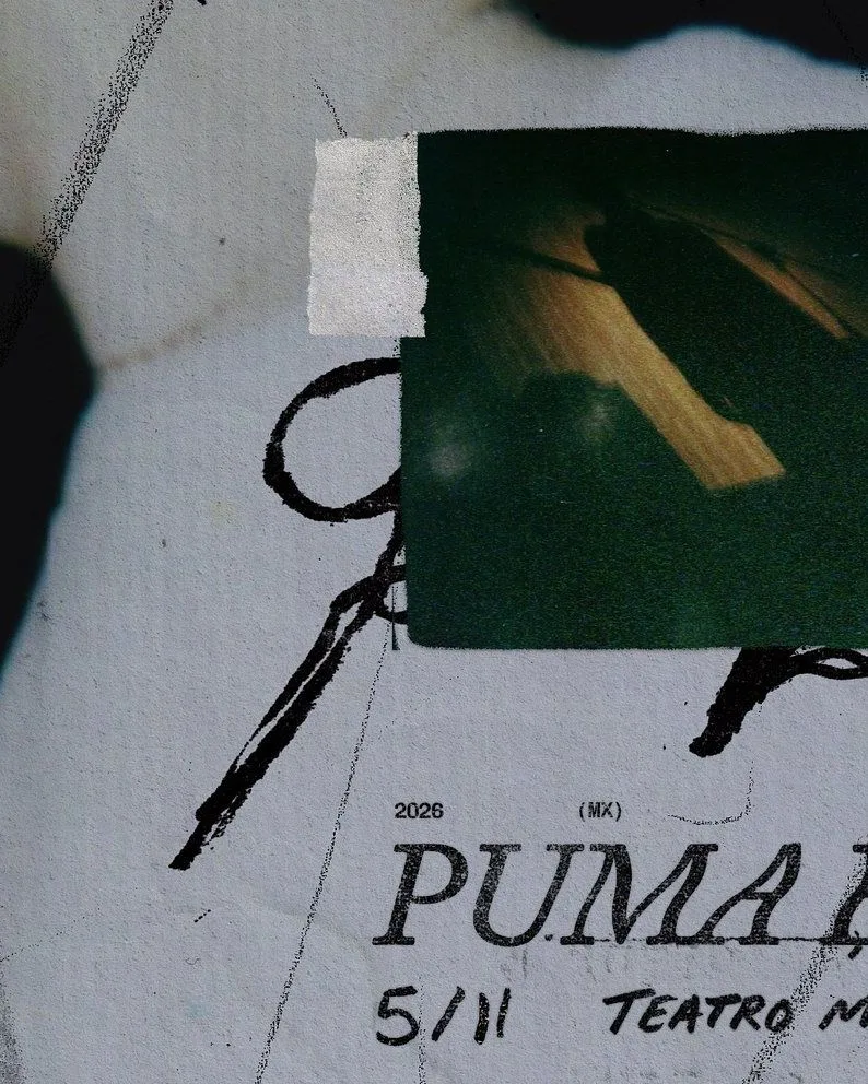 Puma Blue