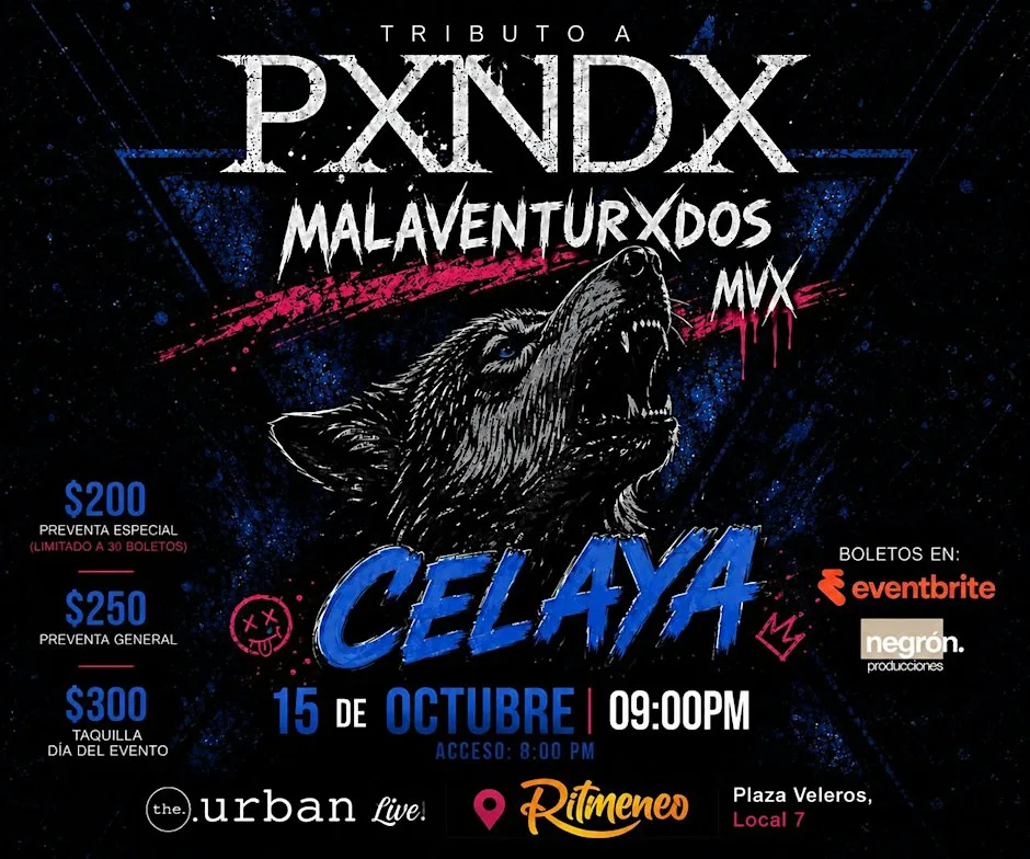 Malaventurxdos: Panda