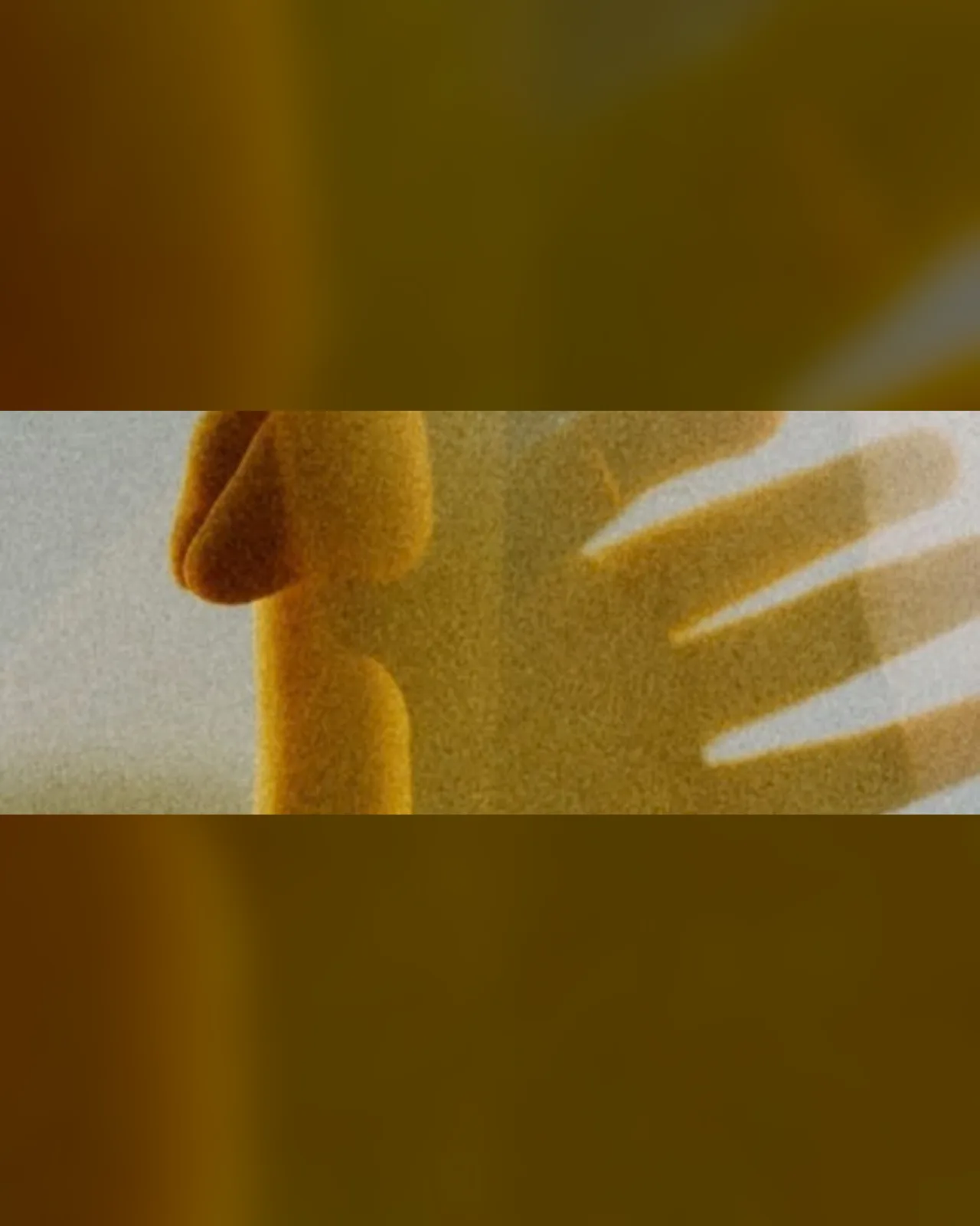 TALK | The Sensory Gaze of Photography with Gina Badenoch