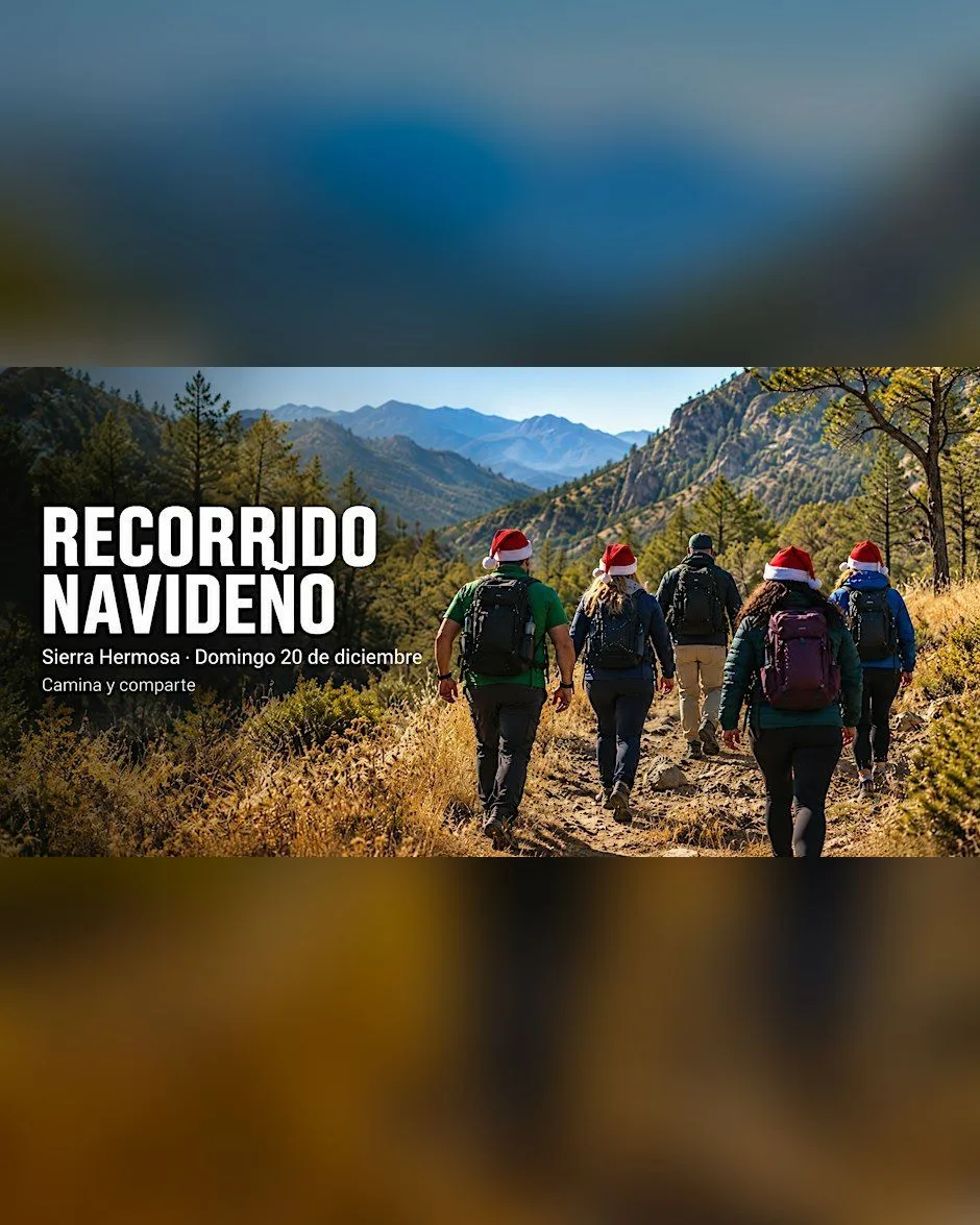 Recorrido Navideño con Causa