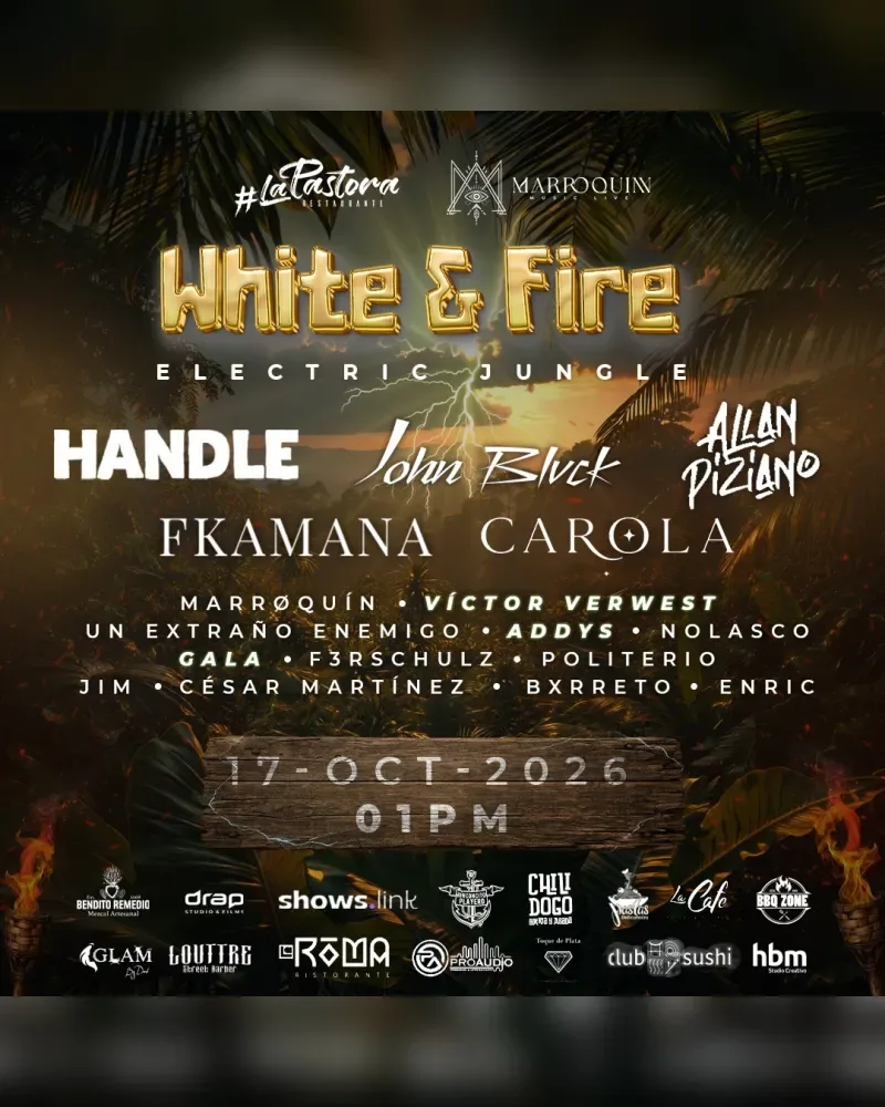 White & Fire Vol. IV