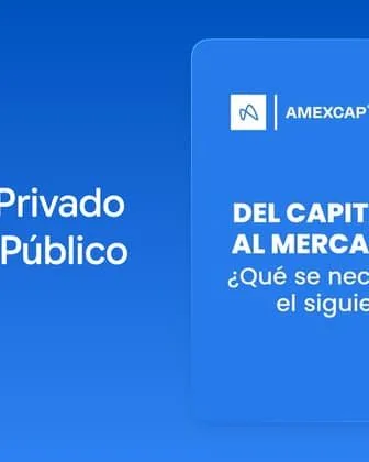 Del capital privado al público