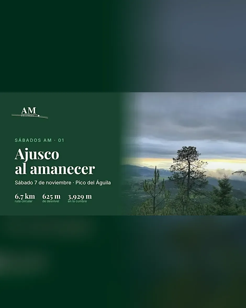 Ajusco al amanecer: senderismo al Pico del Águila + sound healing