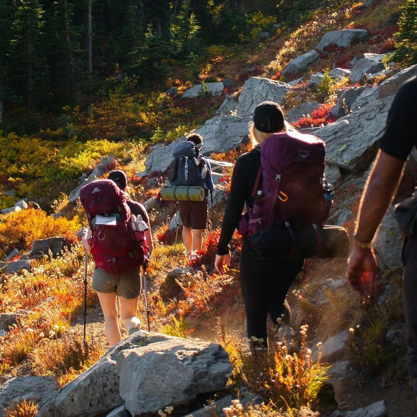 Pico Moctezuma Free Hike