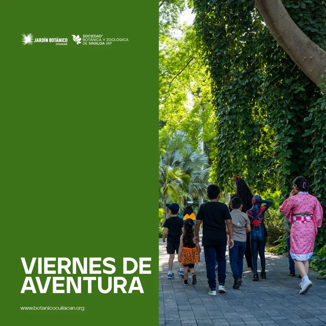 Viernes de Aventuras
