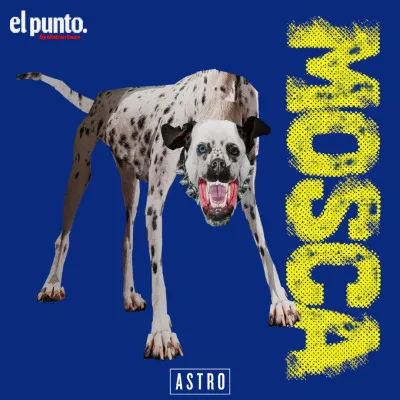 EL PUNTO: MOSCA (NSQK)