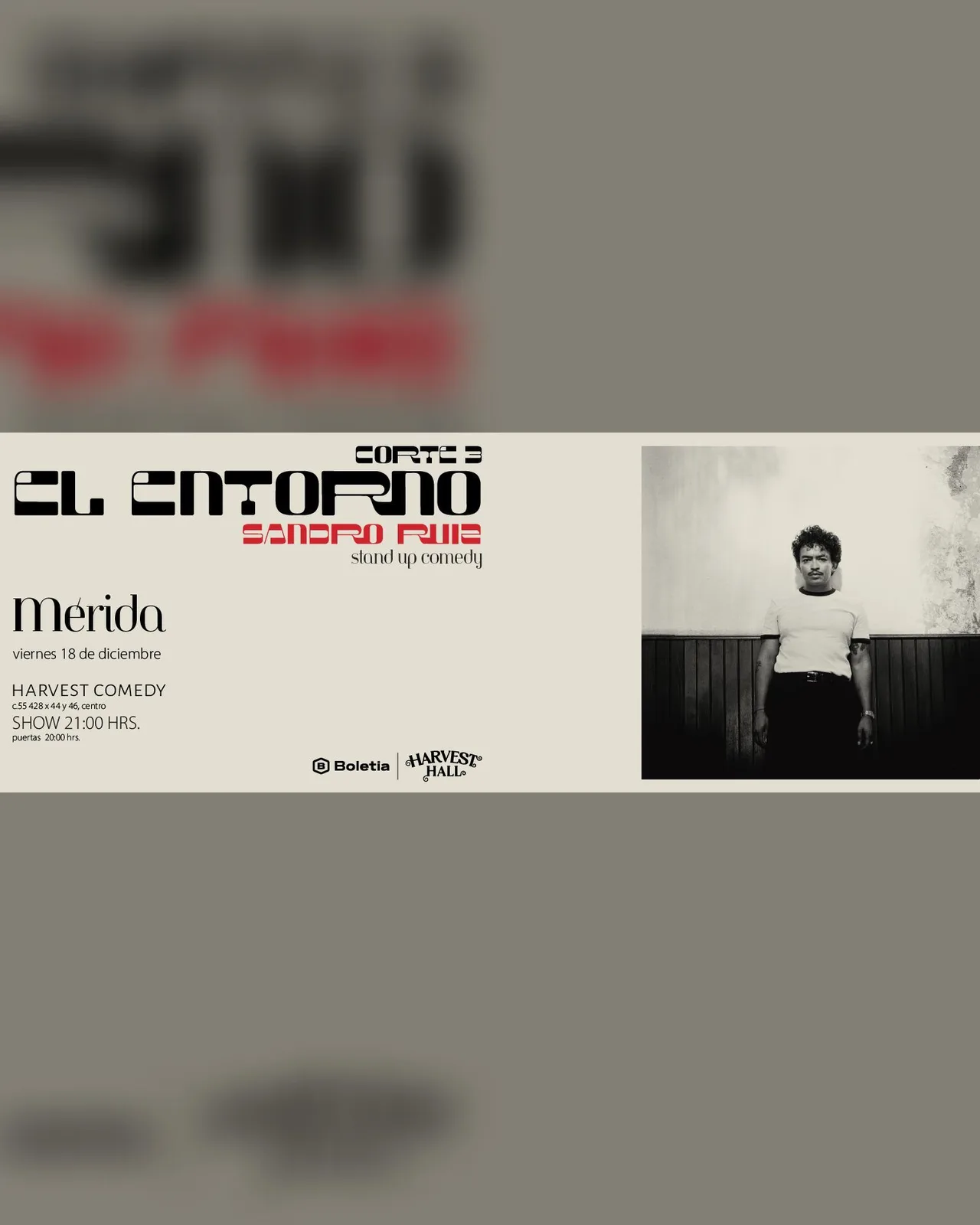SANDRO RUIZ | MÉRIDA | EL ENTORNO