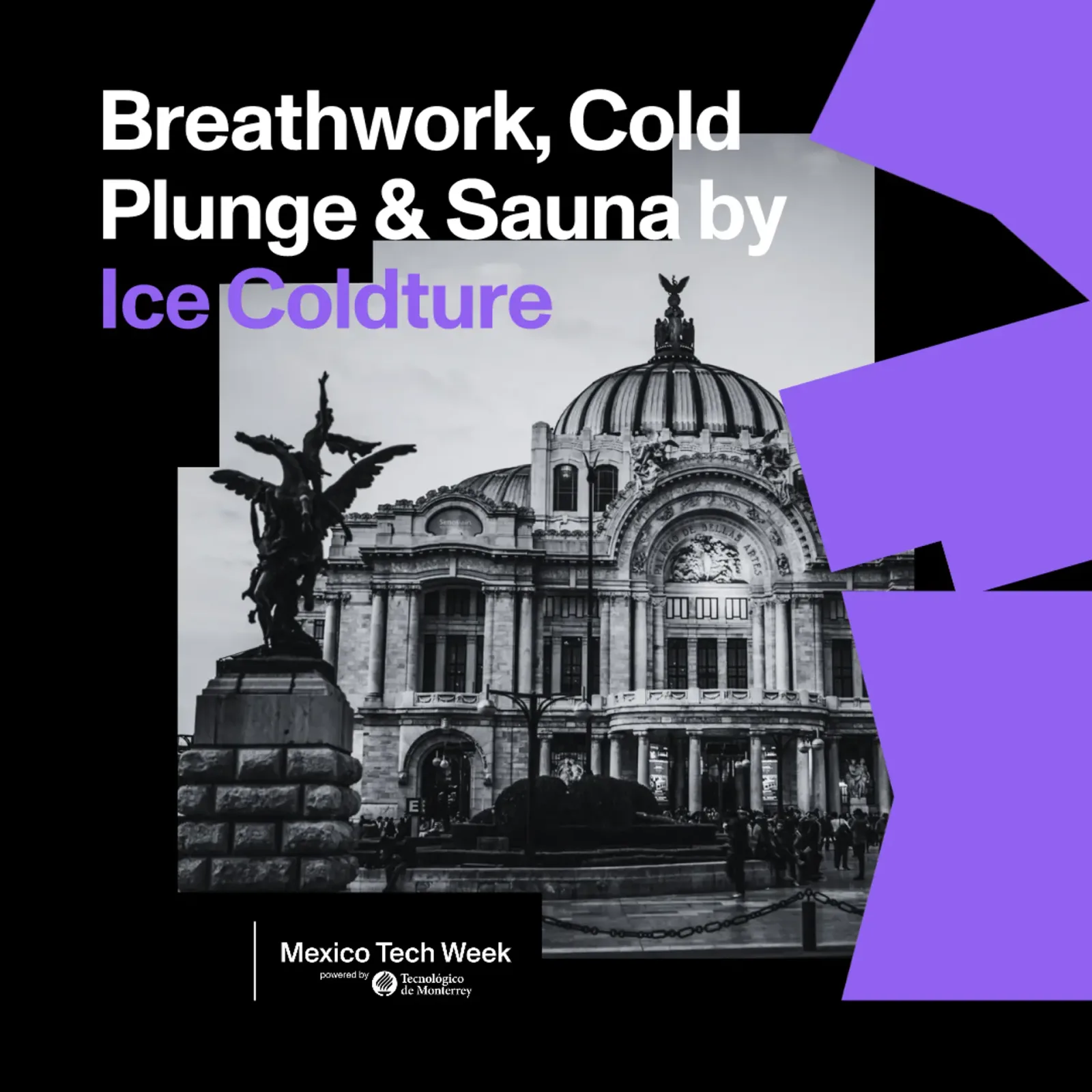 Breathwork, Cold Plunge & Sauna by Ice Coldture