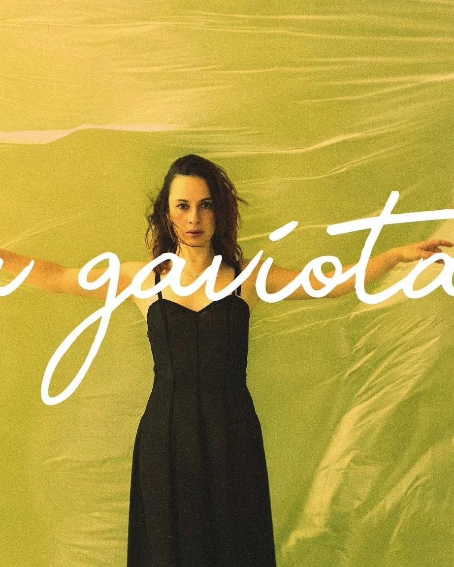 La Gaviota