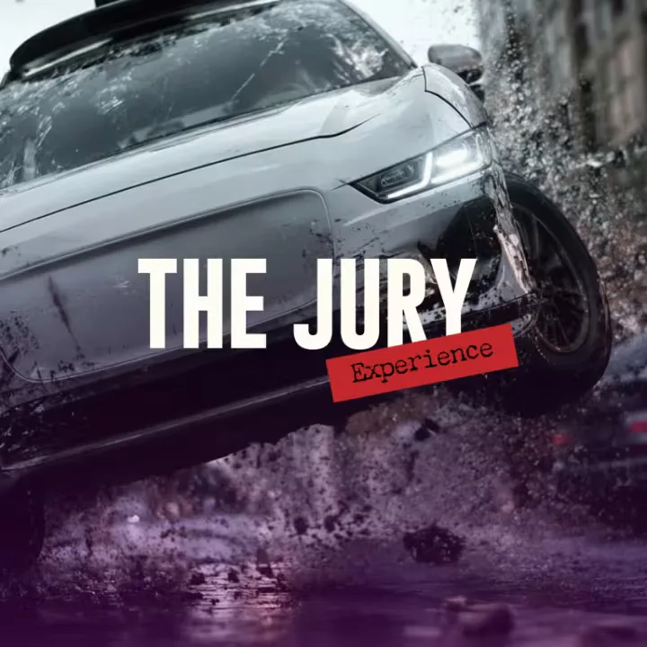The Jury Experience