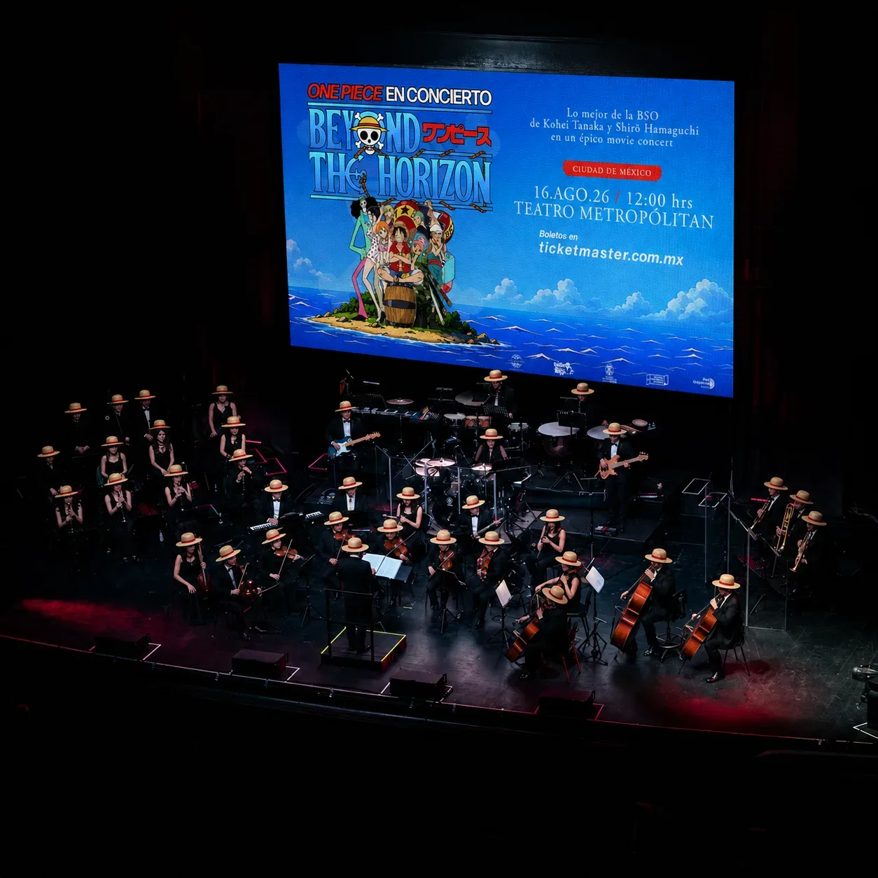 One Piece in Concert