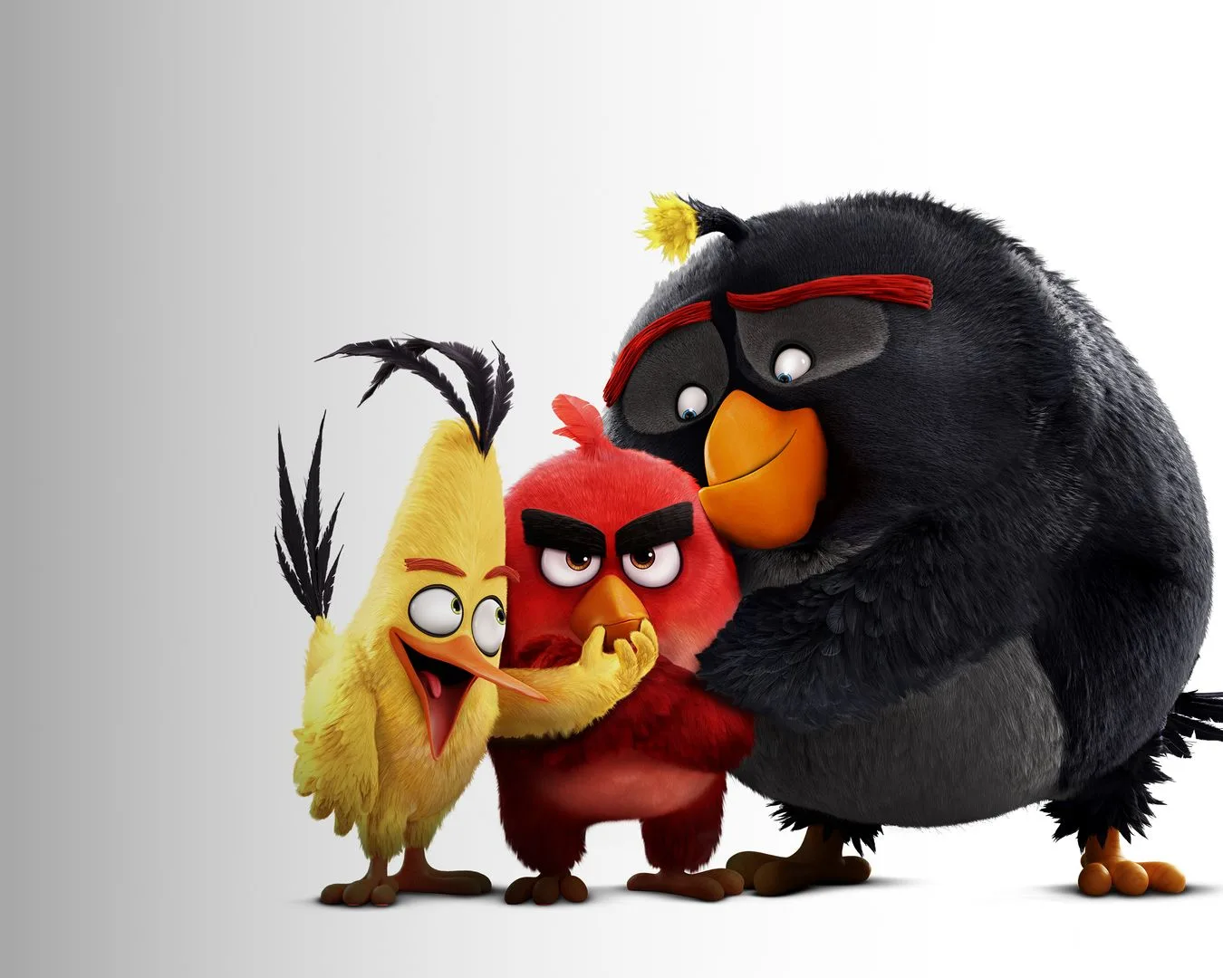 Ciclo de cine: Del Control al Cine / Angry Birds: La película