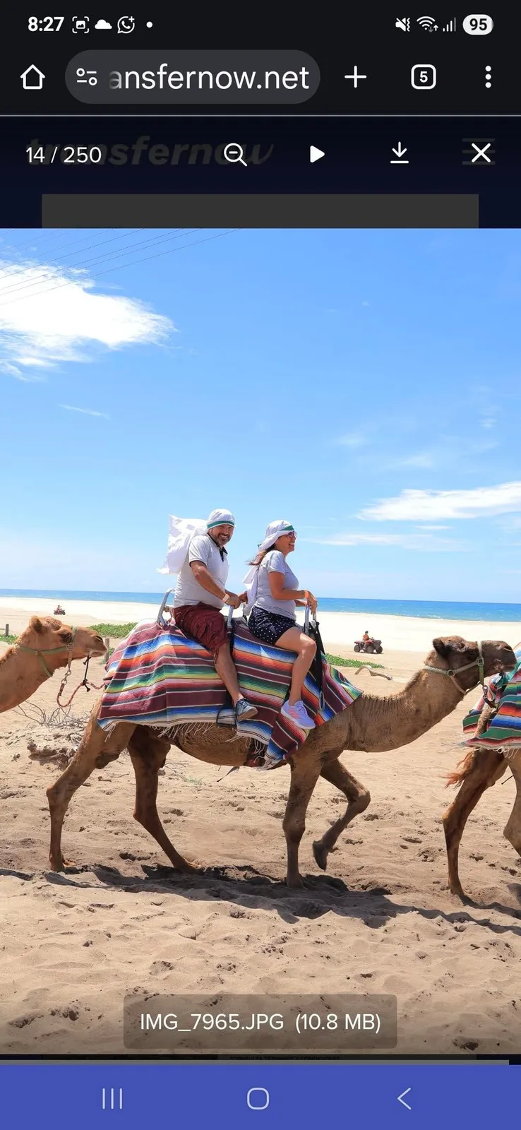 LOS CABOS