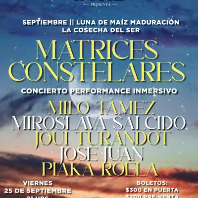 Matrices Constelares