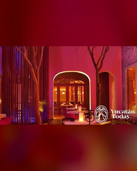 Jazz Nights at Rosas & Xocolate