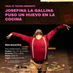 JOSEFINA LA GALLINA PUSO UN HUEVO EN LA COCINA