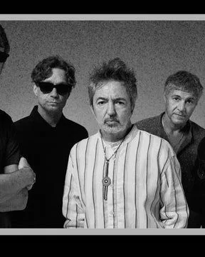 Babasonicos