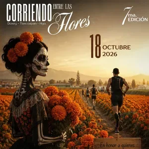 Corriendo Entre Flores