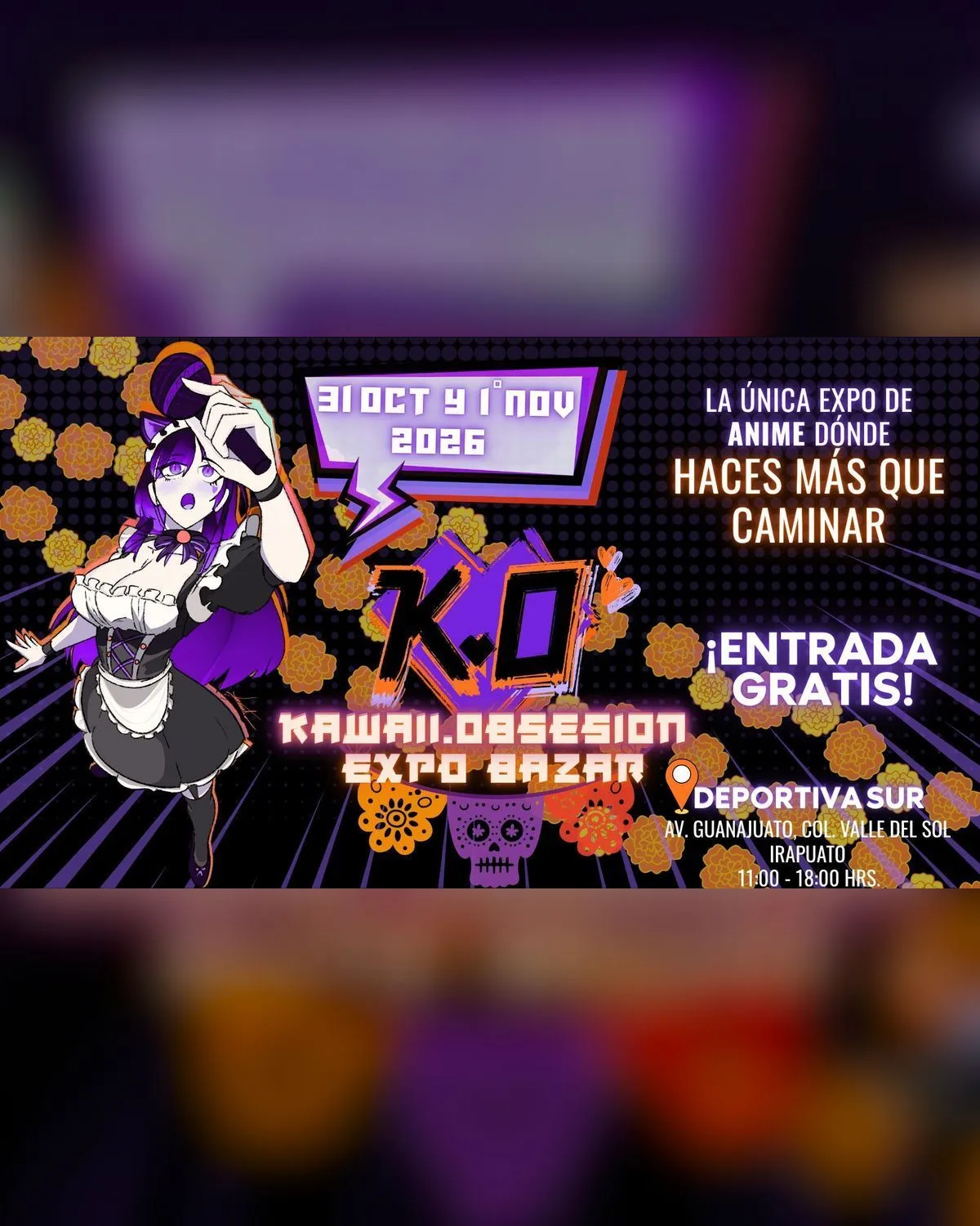 K.O Expo Anime Irapuato