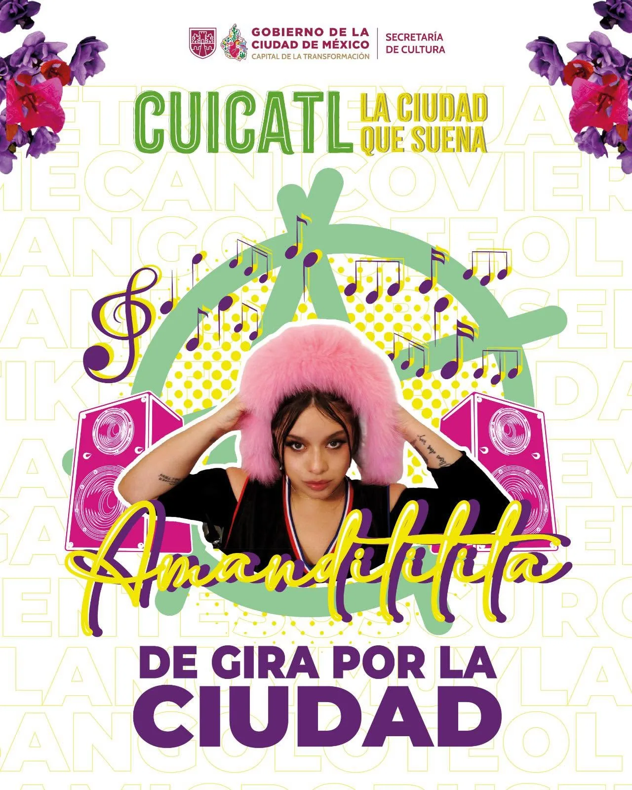 Amandititita en Xochimilco