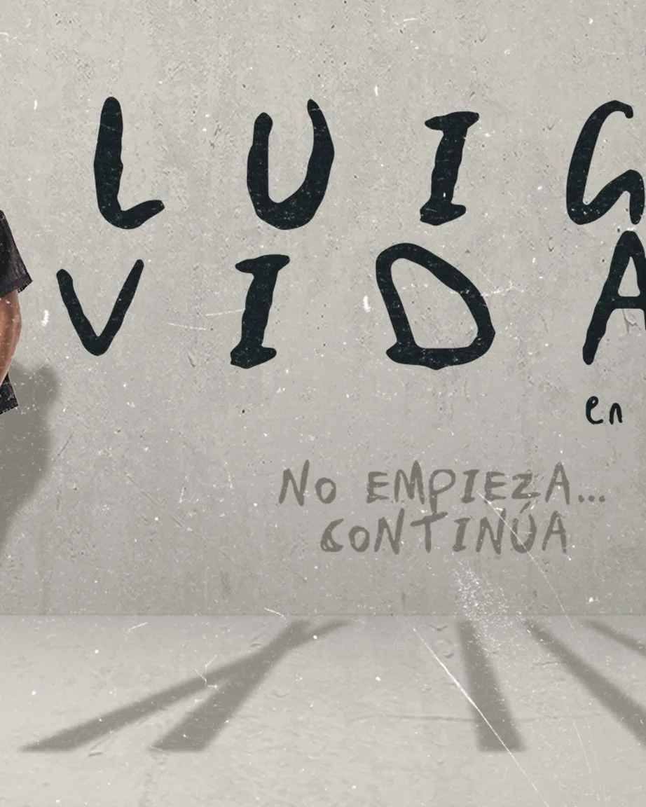 XIII: Luigi Vidal en concierto
