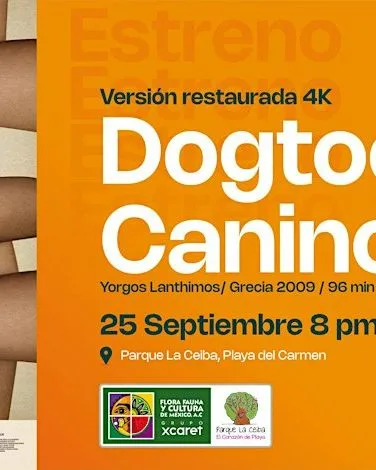 Dogtooth: Canino