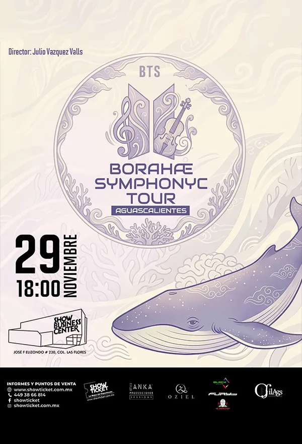 BTS BORAHAE SYMPHONYC TOUR