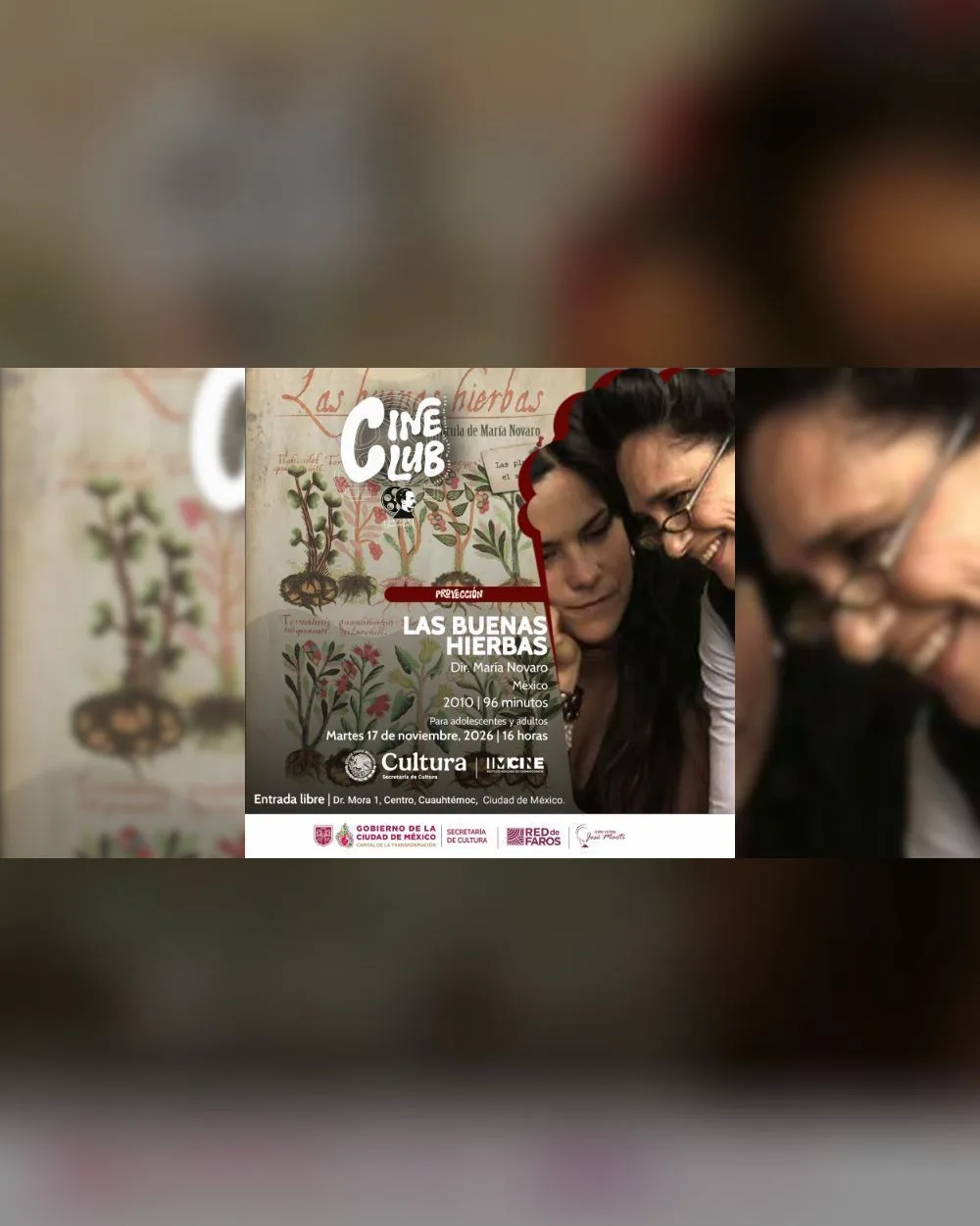Cineclub | Las buenas hierbas