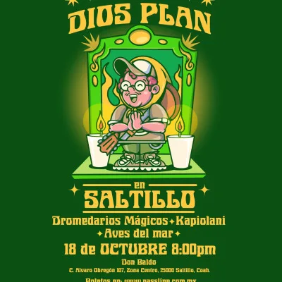 Dromedarios Mágicos