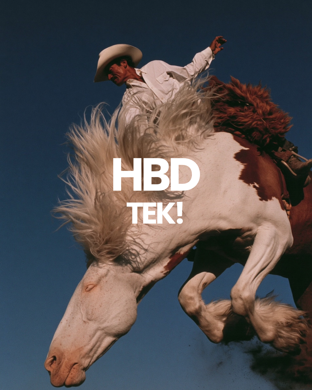 Happy Birthday Tek!